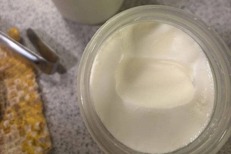 kako se radi domaći jogurt